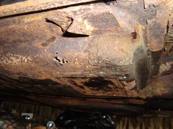 benny billeder 1534.jpg